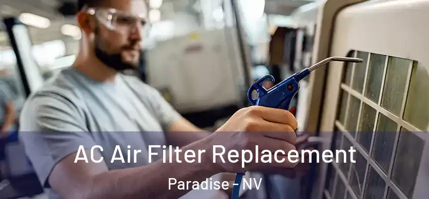AC Air Filter Replacement Paradise - NV