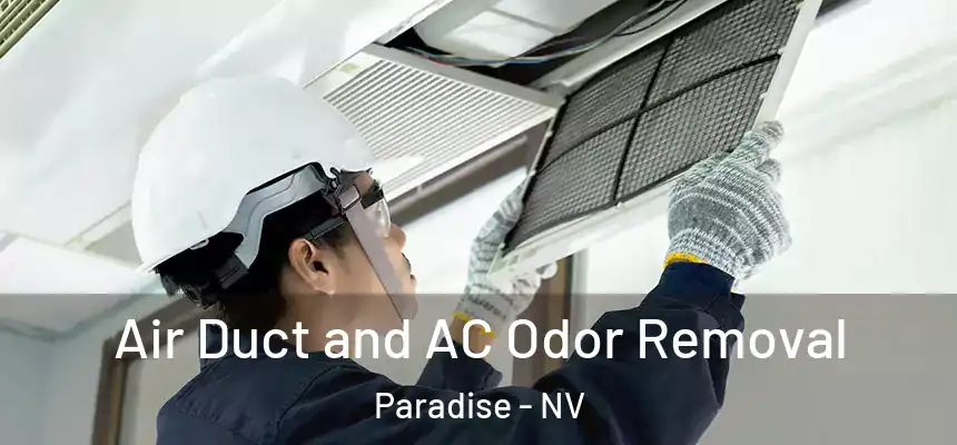  Air Duct and AC Odor Removal Paradise - NV