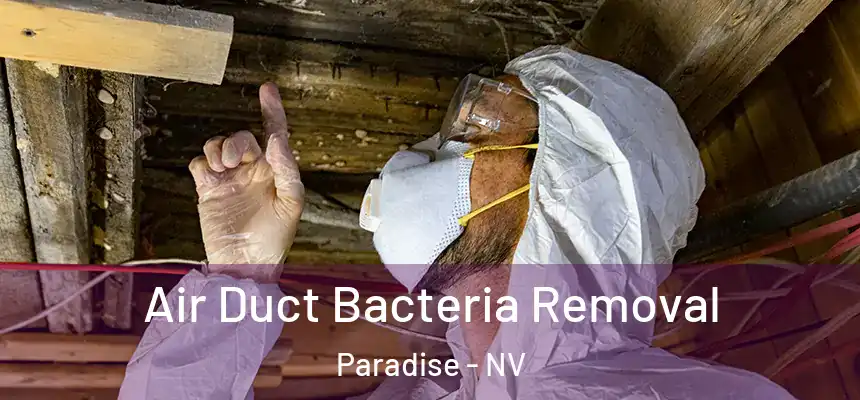 Air Duct Bacteria Removal Paradise - NV