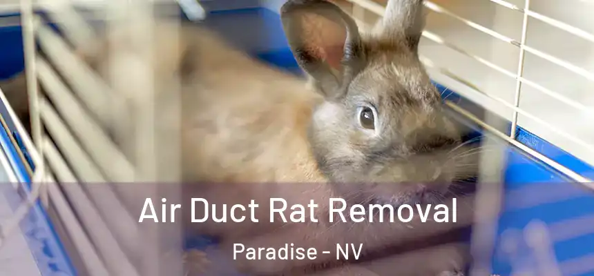 Air Duct Rat Removal Paradise - NV