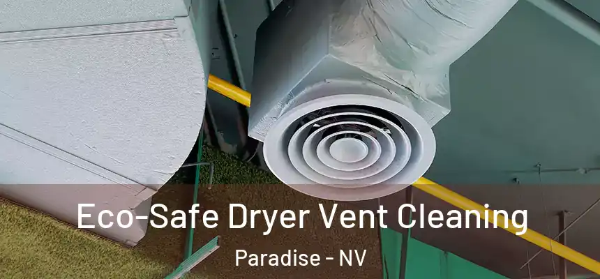 Eco-Safe Dryer Vent Cleaning Paradise - NV
