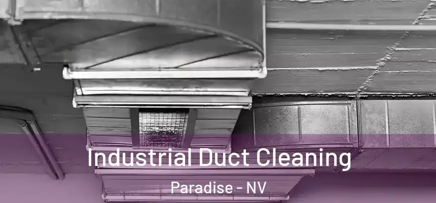 Industrial Duct Cleaning Paradise - NV