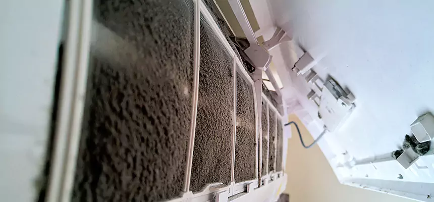 Preventive Air Duct Bacteria Removal in Paradise