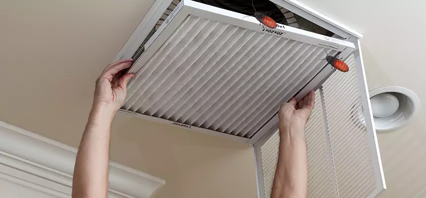 Preventive Cockroach-Proofing for Ducts in Paradise