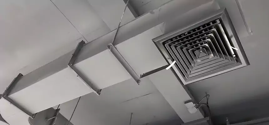 Restorative Allergy Relief Vent Cleaning – Coil, Blower & Housing Detail in Paradise