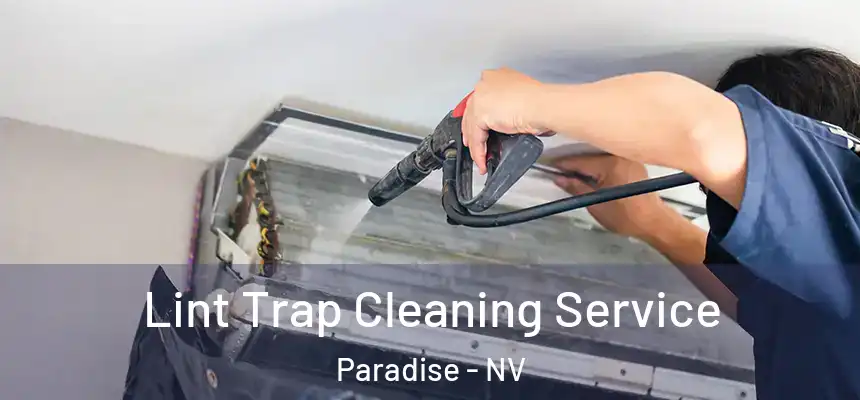 Lint Trap Cleaning Service Paradise - NV