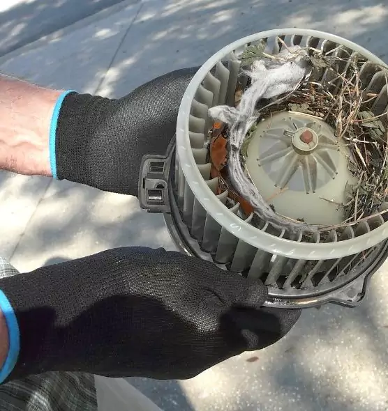 About Air Duct Rat Removal in Paradise, NV