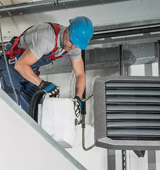 About HVAC Mold Remediation Service in Paradise, NV
