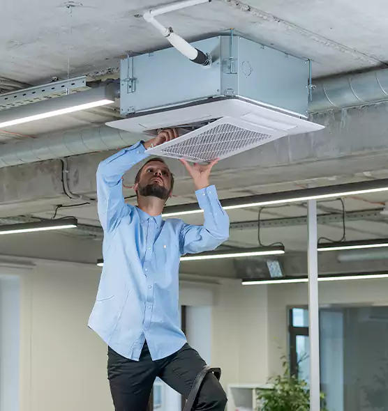 Advanced Rodent Droppings In Vents in Paradise, NV