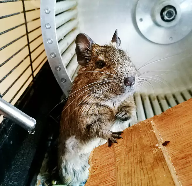 Why Homeowners & Businesses Trust Us Paradise, NV