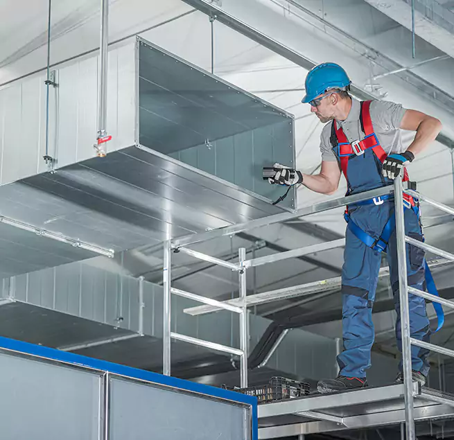 Why Homeowners & Businesses Trust Us in Paradise, NV?