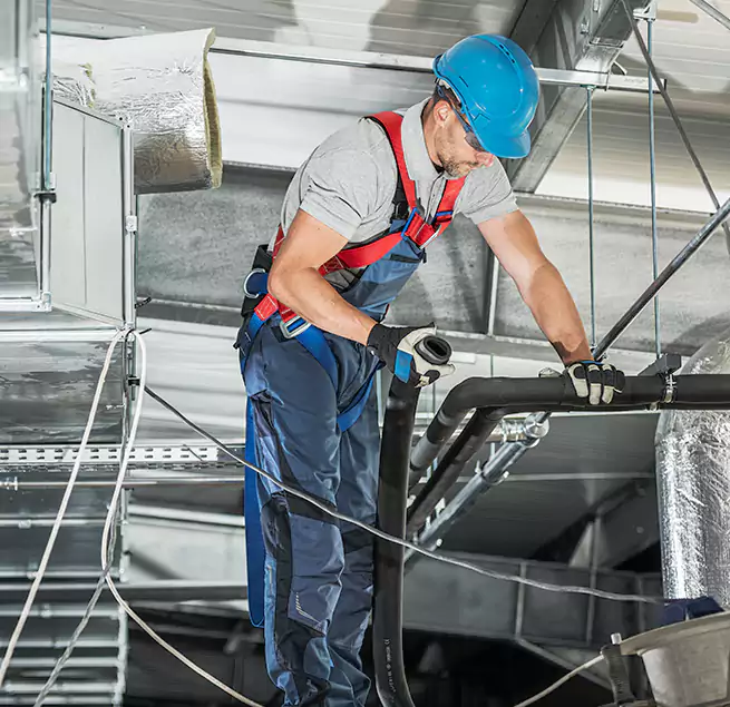 Why Homeowners & Businesses Trust Us in Paradise, NV?