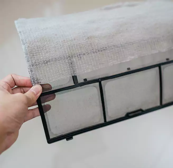 Why Homeowners & Businesses Trust Us in Paradise, NV?