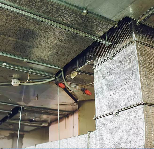 Why Homeowners & Businesses Trust Us Paradise, NV?