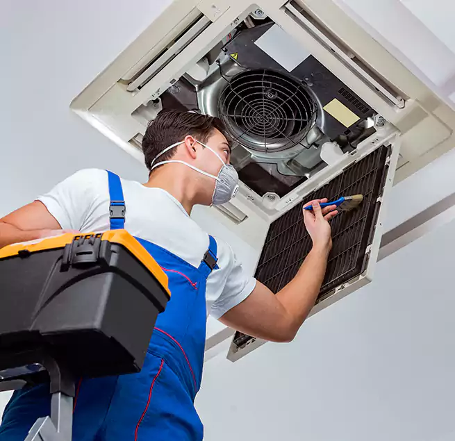 Why Homeowners & Businesses Trust Us in Paradise, NV?